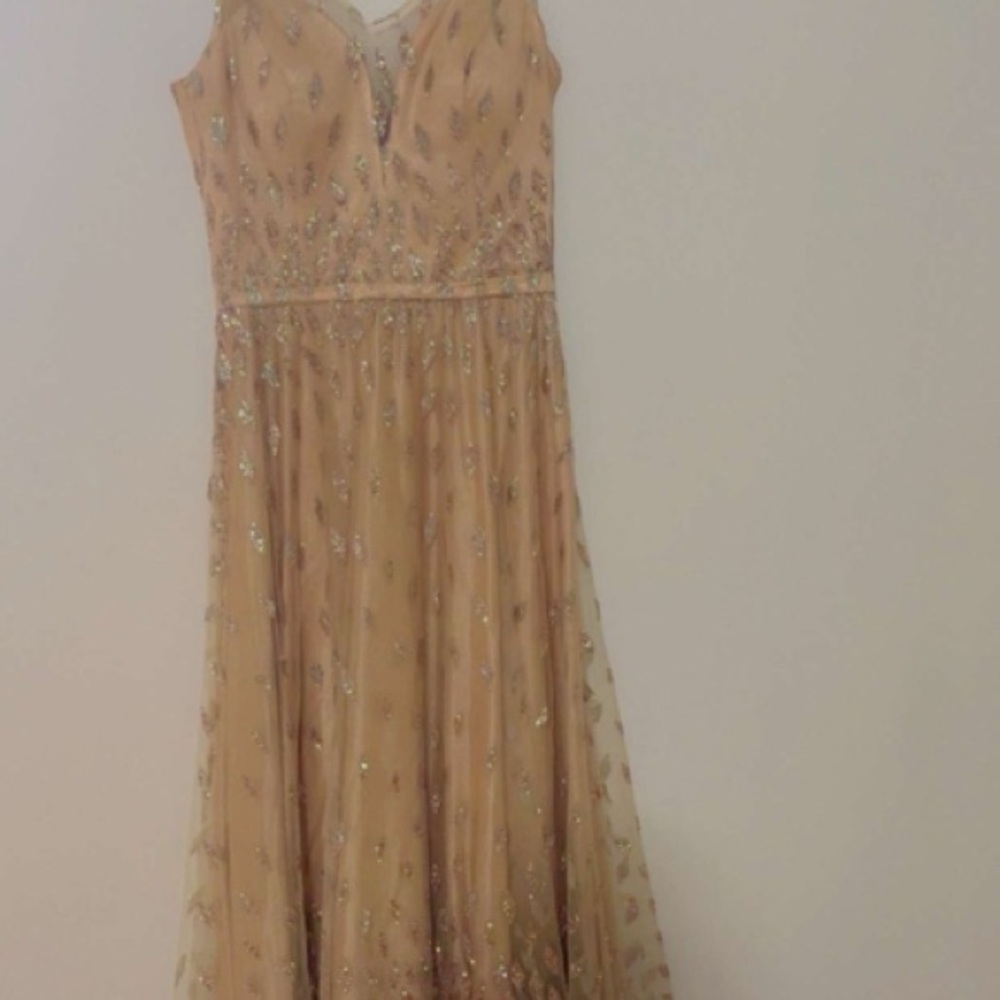 Elegant Beige Evening Gown
